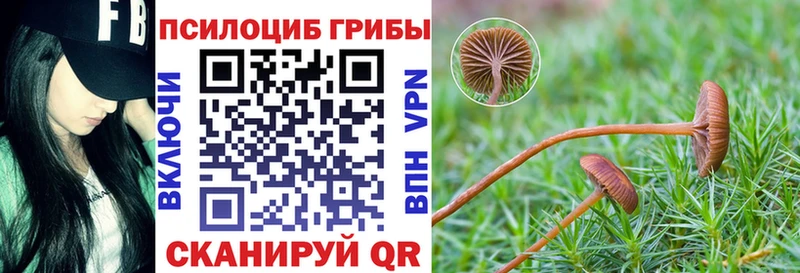 цена наркотик  Киров  Галлюциногенные грибы мицелий 
